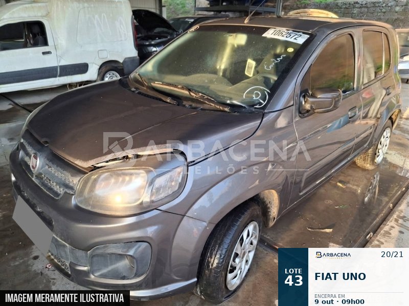Lote 43