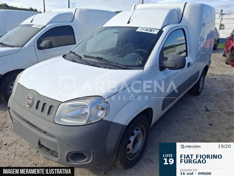 Lote 19