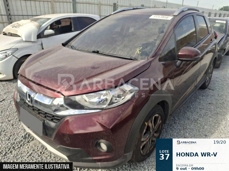 Lote 37