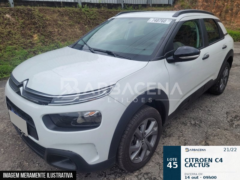 Lote 45