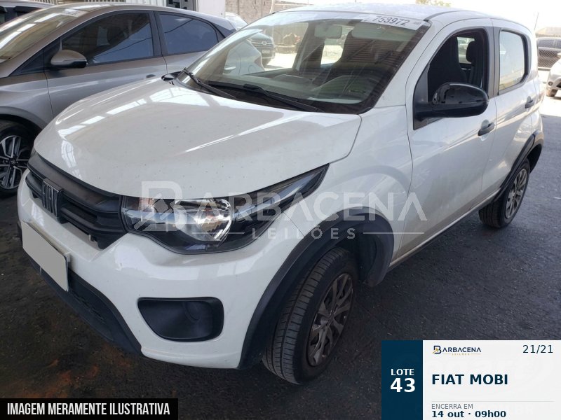 Lote 43