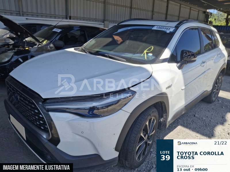 Lote 39