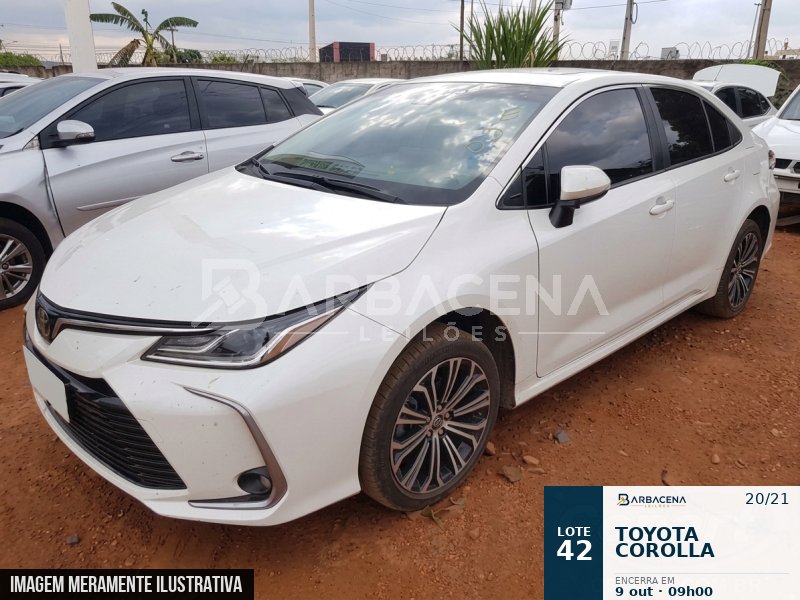 Lote 42