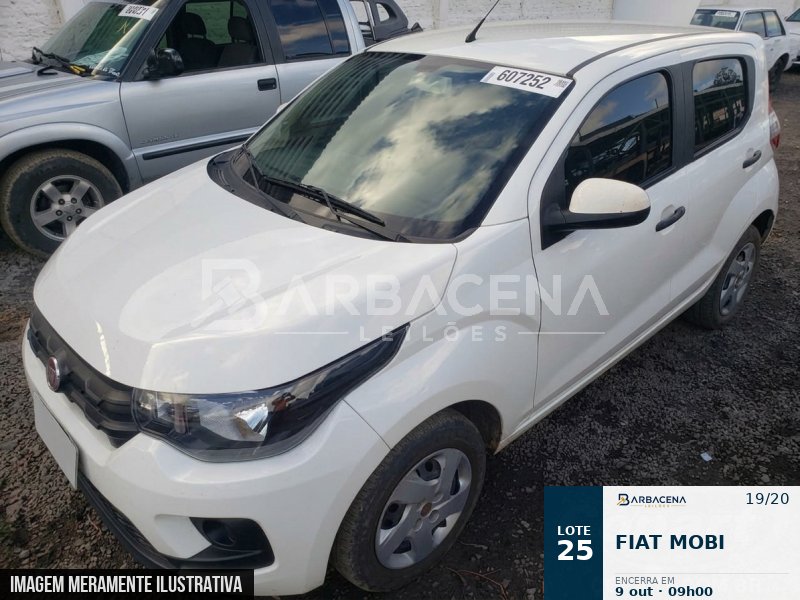 Lote 25